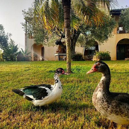 La Finestra Sul Limone Bed & Breakfast Castelvetrano Exterior photo