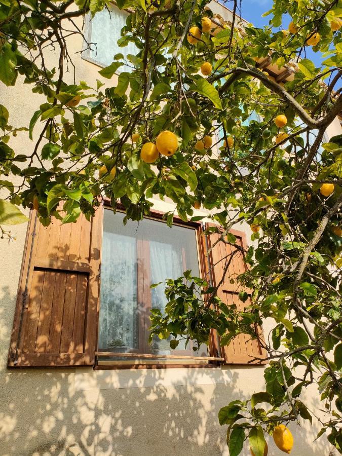 La Finestra Sul Limone Bed & Breakfast Castelvetrano Exterior photo